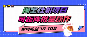 揭秘2025最新淘宝挂机项目，单号30-100，可矩阵批量操作(附工具)-琴书聊项目