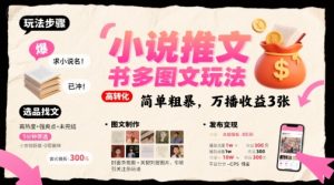小说推文小红书多图文玩法，简单粗暴，万播收益3张-琴书聊项目