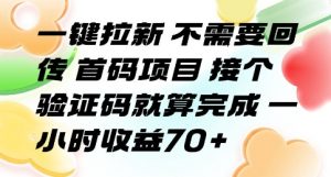 一键拉新 不需要回传 首码项目 接个验证码就算完成 一小时收益70+【揭秘】-琴书聊项目