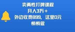 卖两性打牌课程，月入3W+外边收费899的课程，这里0元，悄悄做-琴书聊项目