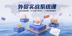 外贸实战系统课：B2B全流程拆解，RFQ深度开发技巧，十大案例策略解析-琴书聊项目