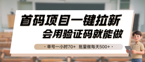 首码项目一键拉新，会用验证码就能做 单号一小时70+，批量做每天500+-琴书聊项目