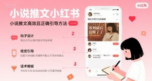 小说推文小红书高转化引导方法实操课，小说推文高效且正确引导方法-琴书聊项目