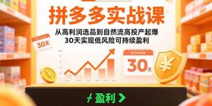 拼多多实战课：从高利润选品到自然流高投产起爆 30天实现低风险可持续盈利-琴书聊项目