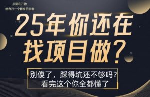 25年,你还在疯狂的找项目吗?别傻了,看完这个你都懂了【揭秘】-琴书聊项目