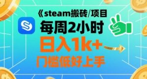 steam搬砖项目每周2小时日入1k+收益核心玩法，手把手教你，门槛低好上手-琴书聊项目
