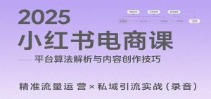 2025小红书电商课：解析算法，创作高转化内容，助力卖家获取流量实现变现(录音)-琴书聊项目