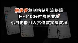 拼多多复制粘贴引流秘籍,日引400+付费创业粉,小白也能月入六位数实操…-琴书聊项目