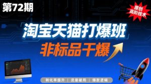 淘宝天猫打爆班原创高阶技术第72期，非标品干爆-琴书聊项目