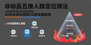 非标品五维人群定位法，2000款滚雪球运营策略，AI内容营销10万流量引爆-琴书聊项目