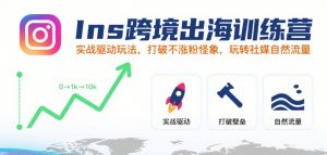 Ins跨境出海训练营,实战驱动玩法,打破不涨粉怪象,玩转社媒自然流量-琴书聊项目