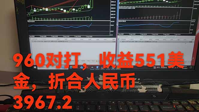 图片[1]-稳定8年的美刀搬砖项目，单人每日收益800—3000.团队4人月入10W+.可线下-琴书聊项目