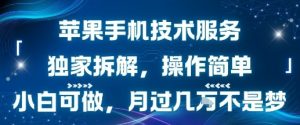 苹果手机技术服务,独家拆解,操作简单,小白可做,月过1W不是梦-琴书聊项目