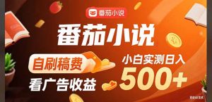 稳定3年官方番茄小说自刷稿费小白单日500+-琴书聊项目