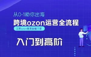 OZON入门到高阶全流程，从0-1助你出海，跨境ozon运营全流程-琴书聊项目
