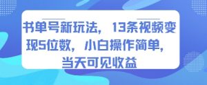 书单号新玩法，13条视频变现5位数，小白操作简单，当天可见收益-琴书聊项目