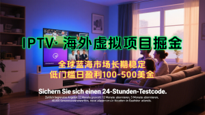 海外虚拟掘金】日赚100-200美金，自己在家就可以闷声发大财，长期可做-琴书聊项目