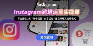 Instagram跨境运营实战：平台认知/账号运营/内容优化/选品策略及变现模式-琴书聊项目