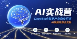 AI实战营：DeepSeek赋能产业商业招商，AI赋能招商全流程-琴书聊项目