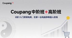 Coupang中阶班+高阶班，0到1入门跨境电商，在家一台电脑挣韩国人的钱-琴书聊项目