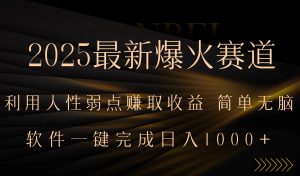 2025最新爆火赛道，利用人生弱点赚取收益，全程一键批量制作，小白轻松…-琴书聊项目