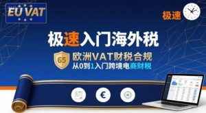 极速入门海外税，欧洲VAT财税合规，从0到1入门跨境电商财税-琴书聊项目