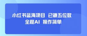 小红书蓝海项目，全程AI，操作简单，已挣五位数-琴书聊项目