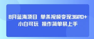 8月AI蓝海项目，单条视频变现1k+ 小白可玩 操作简单易上手-琴书聊项目