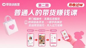 小红书带货第二期训练营，普通人月收过W的带货课，时间自由，零门槛无压货，一部手机即可操作-琴书聊项目