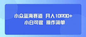小众蓝海赛道,小白可做,操作简单,每天30分钟,月入1W+-琴书聊项目