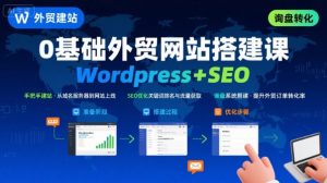 WordPress外贸建站+SEO优化课程，手把手教你从0到1搭建可获得询盘的外贸网站-琴书聊项目