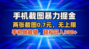 手机截图暴力掘金，两张截图0.7米，一部手机就能做，轻松日入3张+【揭秘】-琴书聊项目