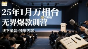 25年1月万相台无界爆款特训营线下录音-琴书聊项目