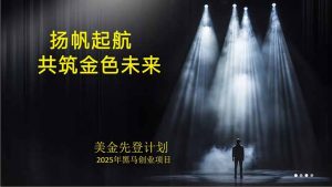 美金对冲创业项目,日收益1000-3000,小众暴力项目稳定运行8年-琴书聊项目