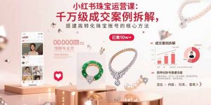 小红书珠宝运营课:千万级成交案例拆解,搭建高转化珠宝账号的核心方法-琴书聊项目