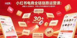 小红书电商全链路运营课：涵盖30+实操单元，实现从开店到爆款账号完整闭环-琴书聊项目