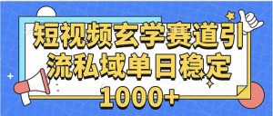 玄学赛道引流私域变现单日稳定1000+教程-琴书聊项目
