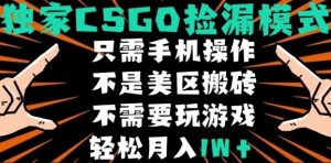 CSGO自动捡漏项目，最新独家玩法，不是美区搬砖，不需要了解和玩游戏，新手小白轻松月入1W+【揭秘】-琴书聊项目