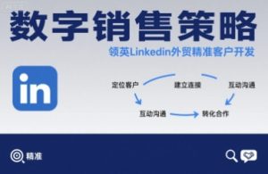 数字销售策略领英LinkedIn外贸精准客户开发-琴书聊项目