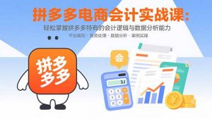 拼多多电商会计实战课：轻松掌握拼多多特有的会计逻辑与数据分析能力-琴书聊项目