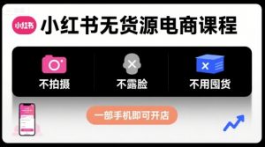小红书无货源电商课程，不拍摄不露脸不用囤货，一部手机即可开店-琴书聊项目