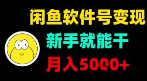 闲鱼软件号变现，新手就能干，月入5k+-琴书聊项目