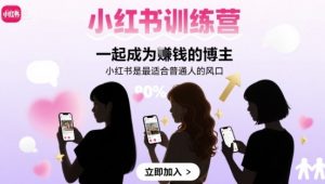 小红书训练营一起成为賺钱的博主，小红书是最适合普通人的风口-琴书聊项目