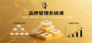 品牌管理系统课：战略定位与消费者洞察，DTC案例、资产评估，增长与公关体系搭建-琴书聊项目