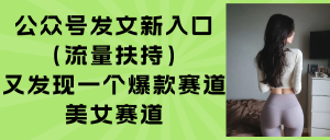 公众号发文新入口(流量扶持-琴书聊项目