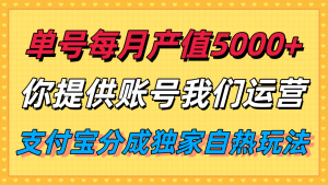 单月产值5000+，支付宝分成代运营，你提供账号坐等分钱，我们帮你运营-琴书聊项目