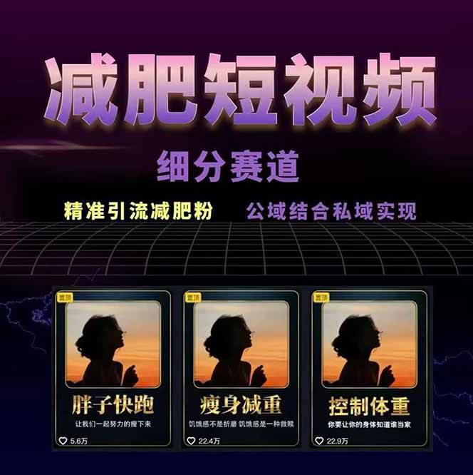 图片[2]-减肥短视频运营实战课：含素材制作、剪映教学，讲精准引流、变现设计与内容模板技巧-琴书聊项目