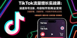 TikTok流量增长实战课：涵盖账号注册、流量获取、内容制作到商业变现-琴书聊项目