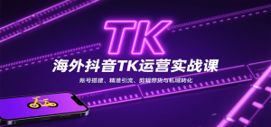 海外抖音TK运营实战课：账号搭建、精准引流、剪辑带货与私域转化-琴书聊项目