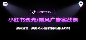 小红书聚光/乘风广告实战课：投放运营、数据优化与抖音本地推全攻略-琴书聊项目